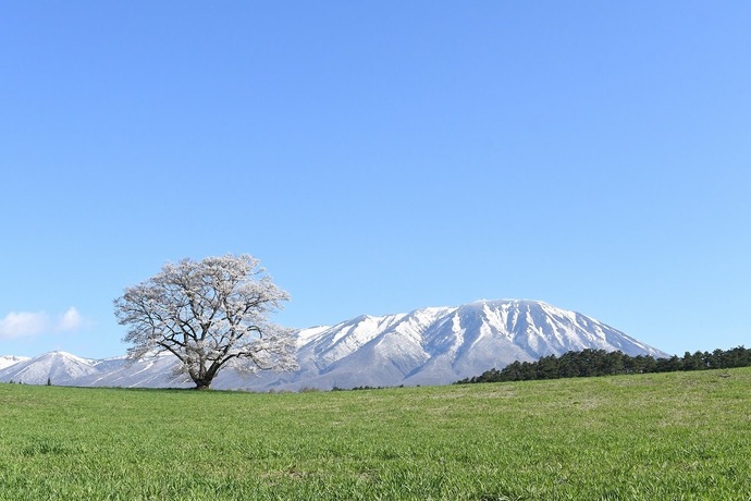いわての残したい景観