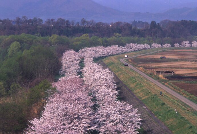 【令和7年2月7日掲載】私たちのふるさと岩手の美しい自然の風景や歴史的な文化遺産など、美しい景観を今後も大事にしていくため「いわての残したい景観」を募集しています！