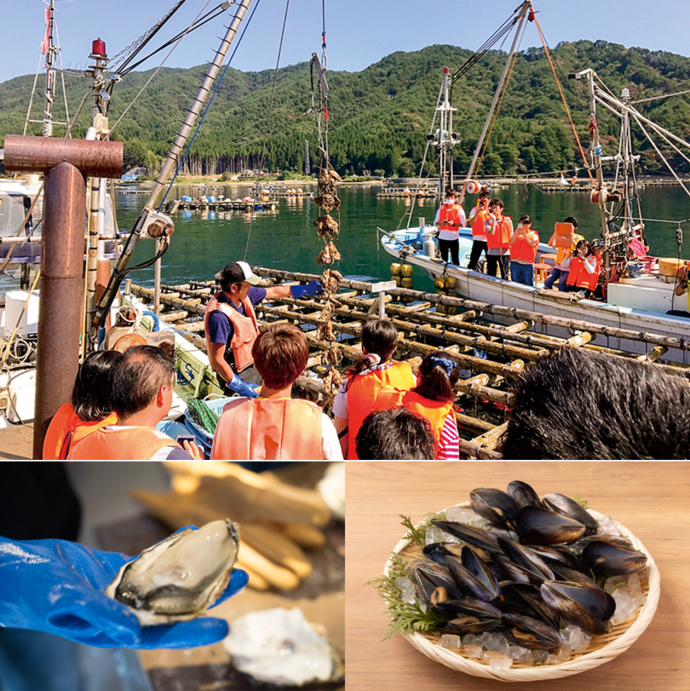 カキ養殖見学等