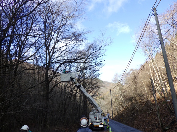 東北電力NWが電線付近の枝切り