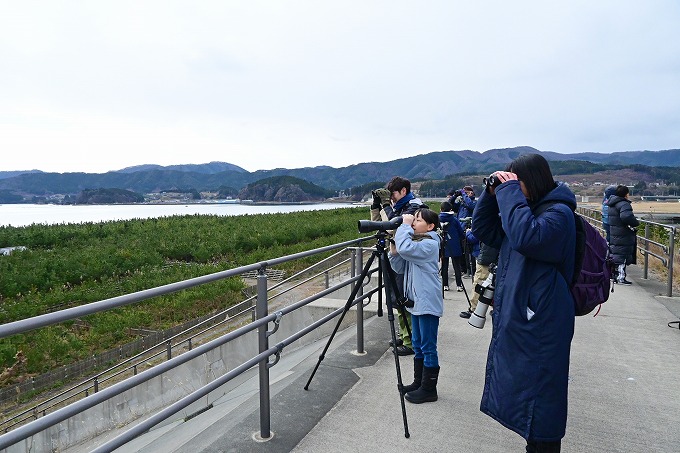 【令和6年12月19日掲載】高田松原津波復興祈念公園が幅広い活動の場として利用されています！