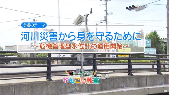 【令和7年2月19日掲載】いわて！わんこ広報室 県土整備部アーカイブ 2019年（令和元年）6月「河川災害から身を守るために～危機管理型水位計の運用開始～」