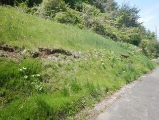 盛土等の法面の状況