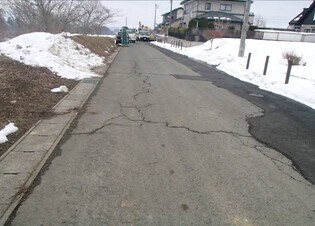 盛土上部の状況