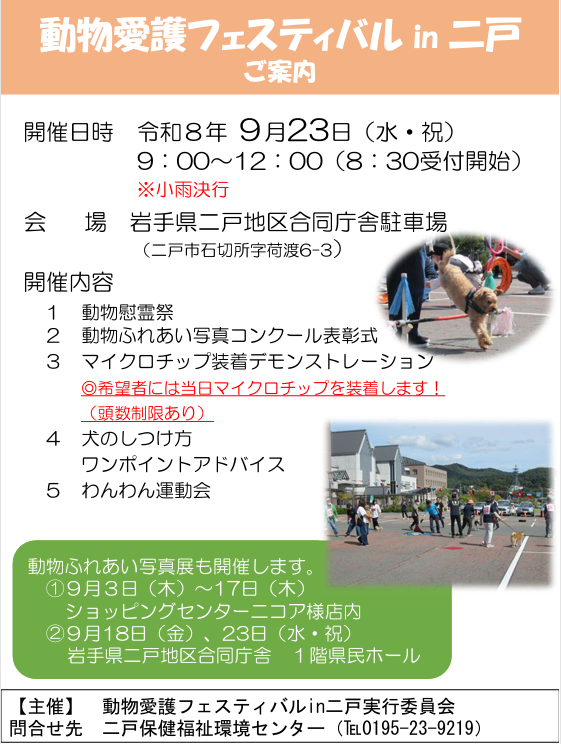 フェスティバルチラシ