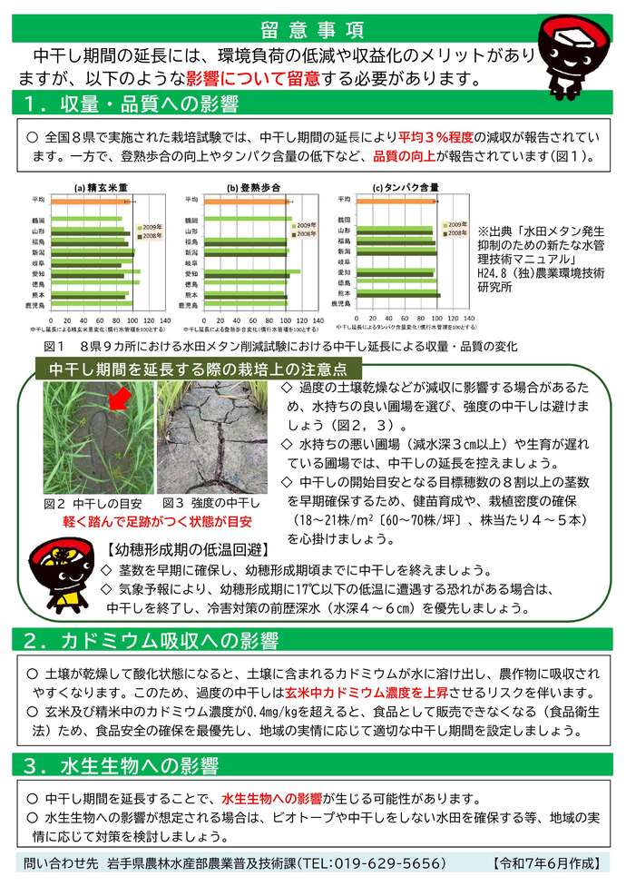 水稲栽培における中干し期間の延長における留意点