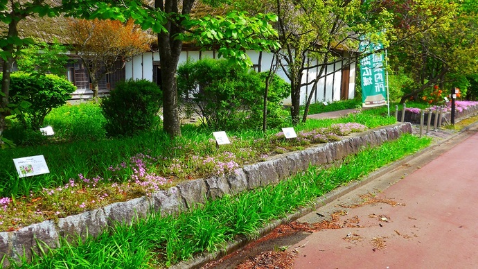 【令和7年9月9日掲載】岩手県立御所湖広域公園のさくら園には萱葺き屋根の南部曲り家があります！