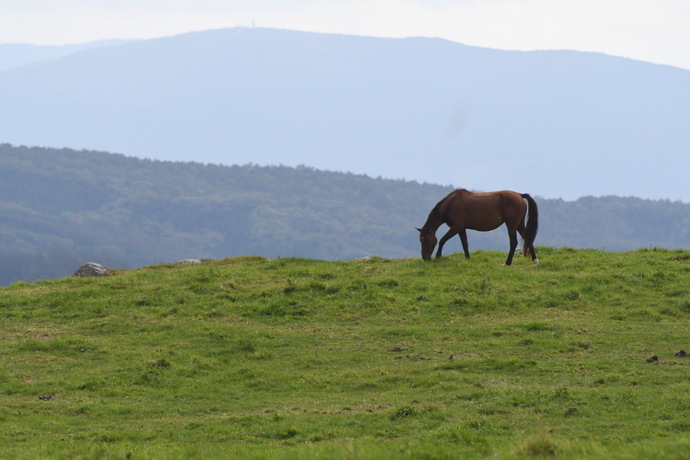 【令和7年10月10日掲載】ふるさと岩手の自然風景や歴史的文化遺産など、美しい景観を大事にしていくため「いわての残したい景観」を募集しています！