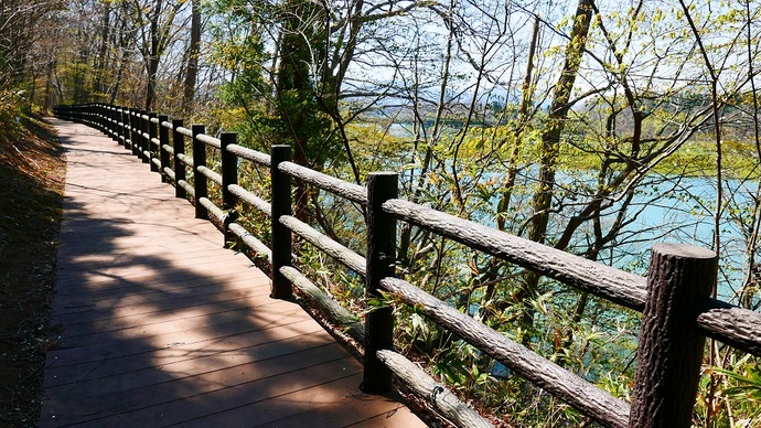 【令和7年9月17日掲載】岩手県立御所湖広域公園の野菊公園では、水辺の景色を眺めながら散歩できます！