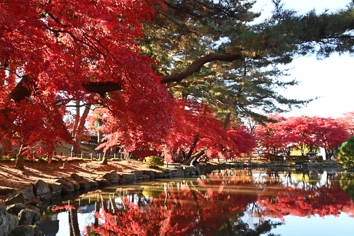 【令和7年10月3日掲載】10月4日は「都市景観の日」！ふるさと岩手の自然風景や歴史的文化遺産など、美しい景観を大事にしていくため「いわての残したい景観」を募集しています！