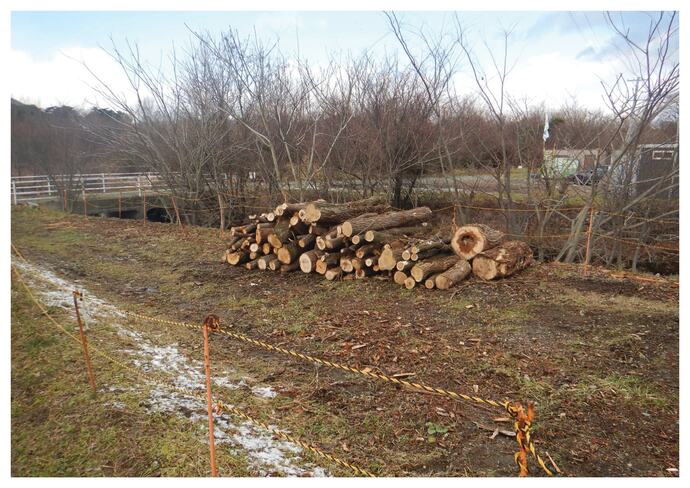 【令和7年12月23日掲載】岩手県盛岡広域振興局土木部で伐採木を無償提供します！