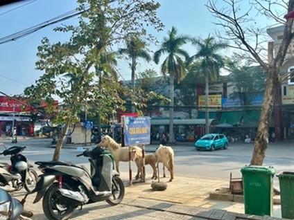 ベトナムの町の様子