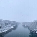 冬の雫石川