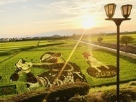 おらほの町の大スター2025