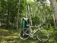 日本一の白樺林にて