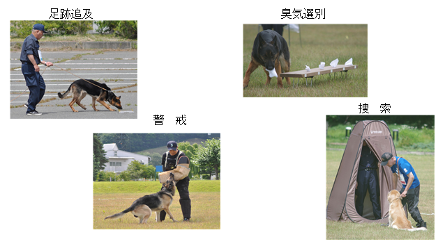 画像：審査種目